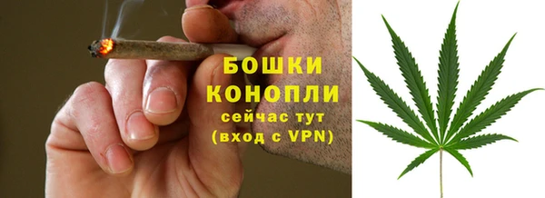 прущие грибы Семилуки
