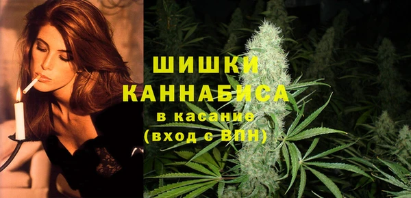 прущие грибы Семилуки