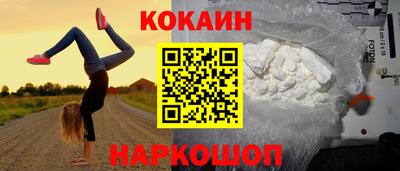 индика Новодвинск
