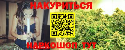 индика Новодвинск