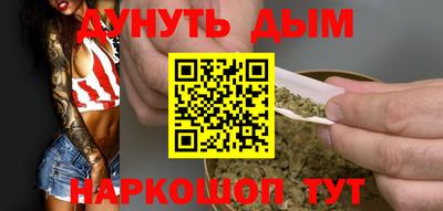 индика Новодвинск