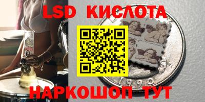 индика Новодвинск
