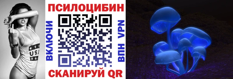 Галлюциногенные грибы Psilocybe  Киржач 